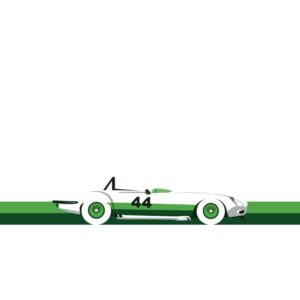 Jaguar E Type, Group 44